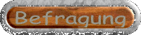 Kundenbefragung